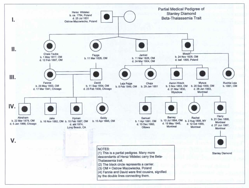 Program To Make Tree Diagrams